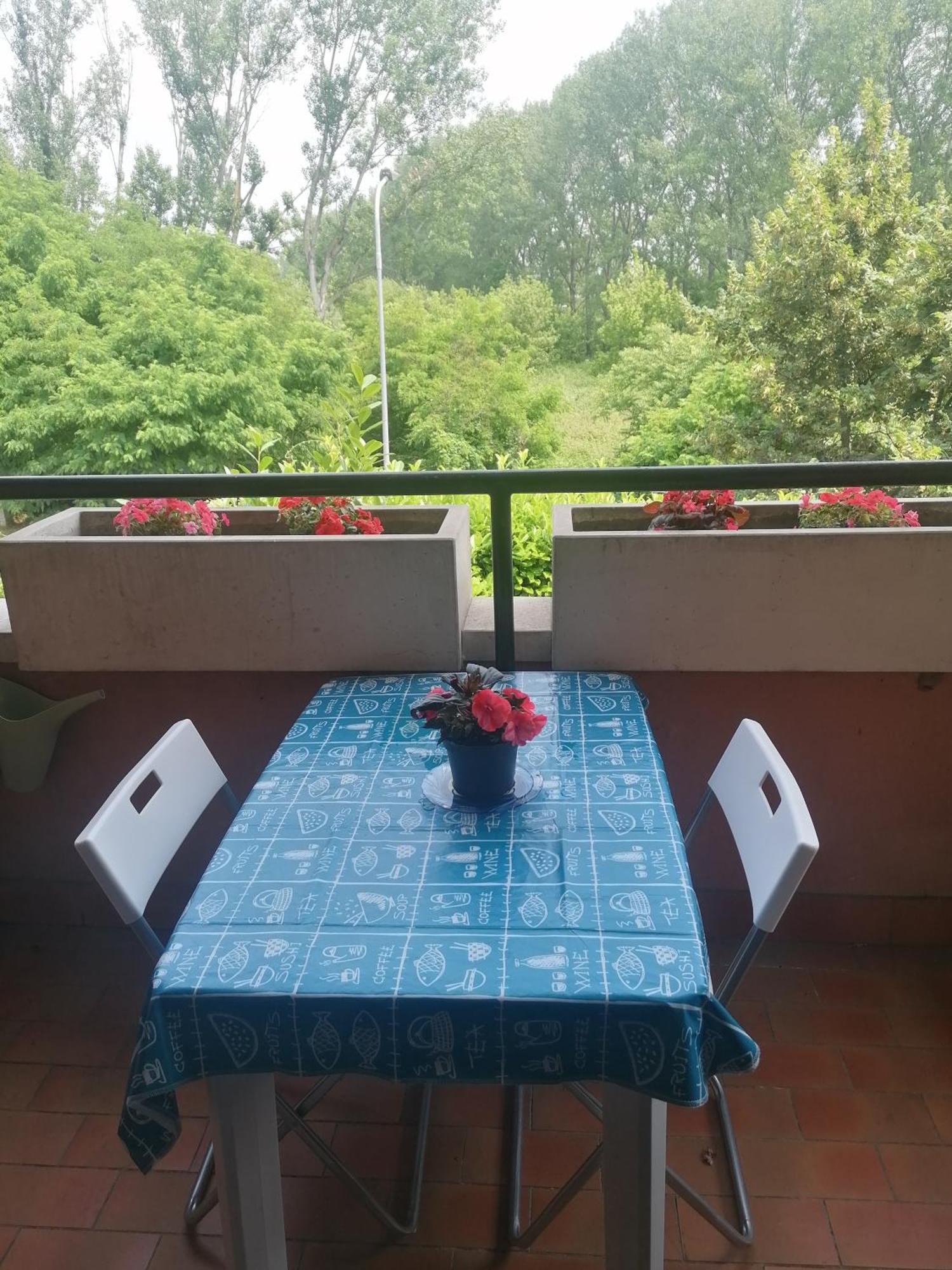 La Casa Blu- Forum Di Assago, Ospedale Humanitas, Milanofiori, Ieo Rozzano Oda fotoğraf